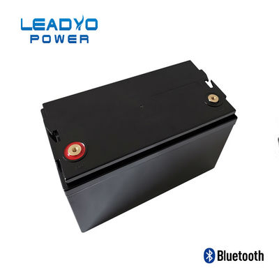 LEADYO BMS Marine Lifepo4 แบตเตอรี่ 12V 100amp เคสแบบเกลียวพลาสติก